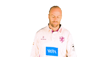 England Cricket Facepalm Sticker by Somerset County Cricket Club