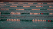 Iwutitans Tgoe GIF by iwusports