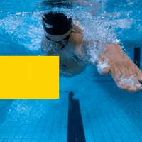GIF by SwimGym