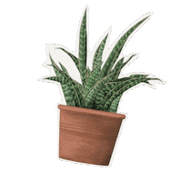 Houseplant Sticker by Hortusamsterdam