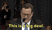 news impeachment impeachment inquiry opening statement barry berke GIF