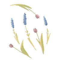 umilustracje flowers spring tulip wiosna Sticker