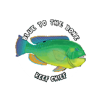 Reef Chief Sticker by Reef Chief Australia