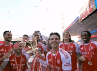 Arsenal Fc Rice GIF