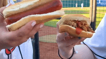 LansingLugnuts baseball michigan hot dog lansing GIF