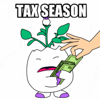 Stealing No Money GIF by Magic Eden