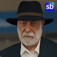 Dizi Sb GIF by Sporbulteni
