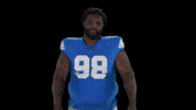Football Nfl GIF by Detroit Lions
