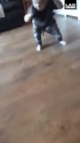 perfect loops GIF