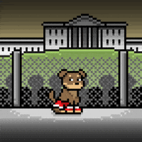 Lets Go Yes GIF by Doginal Dogs