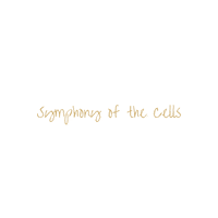 symphonyofthecells  GIF