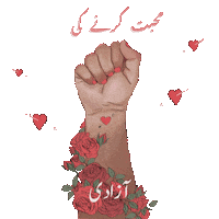 MashaalSajid freedom feminism equality Pakistan Sticker