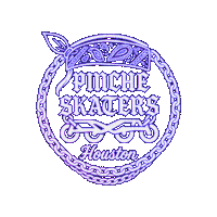 Tns Skaters Sticker by SpaceCitySkaters