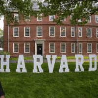 Ari Harvard GIF by BOBO