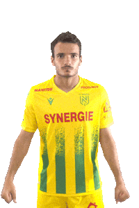 Ligue 1 Football Sticker by FCNantes