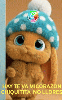 Mi Corazon Amigos GIF by Murcianys LLC