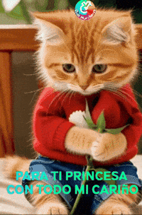 Con Todo Feliz GIF by Murcianys LLC