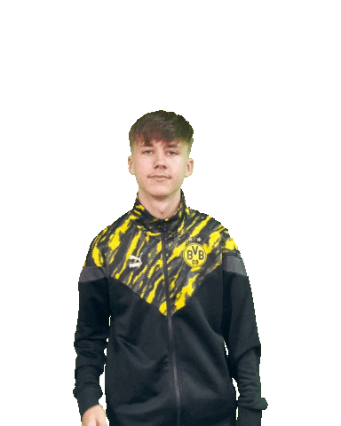 Bvb Sticker by Borussia Dortmund