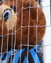 Bibi GIF by Club Brugge