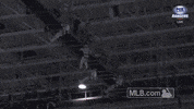 la wow GIF by MLB