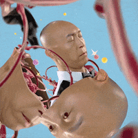 GIF by Sholim