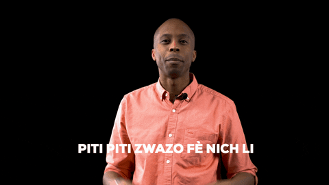 Haitian Flag Haiti GIF by Bernardson