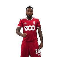 Football Soccer Sticker by Standard de Liège