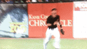 kccougars GIF by Kane County Cougars