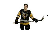 BrantfordBulldogs hockey celly bulldogs ohl Sticker