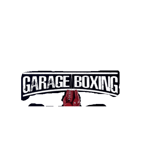 Harry Sticker by GARAGEBOXING