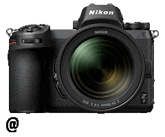 Nikon Nikoninstabadge Sticker by NikonIndia