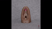vulvarias vagina vulva clitoris vulvarias GIF