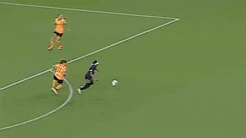 Womens Soccer Ball GIF by National Women's Soccer League