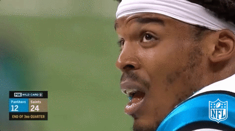 Carolina Panthers Football GIF by NFL