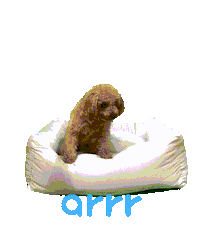 아르르 Sticker by arrr_official