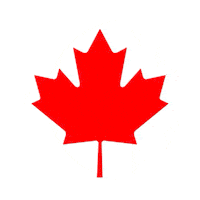 c111 STICKER by imoji