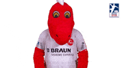 Handball-Bundesliga Power GIF by LIQUI MOLY HBL