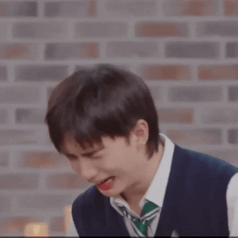 Stray Kids Skz GIF