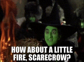 Wizard Of Oz Fire GIF by Chris Cimino