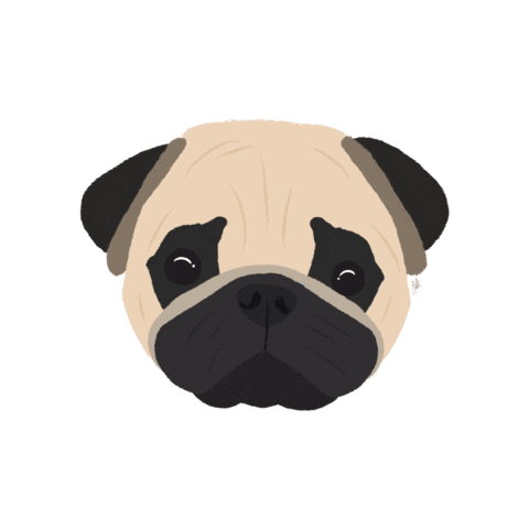 Dog Pug Sticker