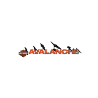 Hd Colorado Sticker by Jet City Harley Davidson