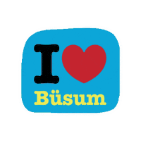 kitecity_international love urlaub nordsee busum Sticker