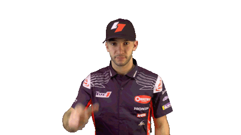 Honda Scorpion Sticker by Luc1