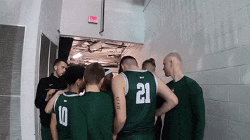 Ncaa Sports Sport GIF by Wright State University Athletics