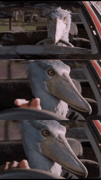 Suspicious When You Know GIF