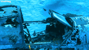 Scuba Divers Explore the Corsair Dive Site