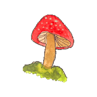 Naturaleza Otoño Sticker