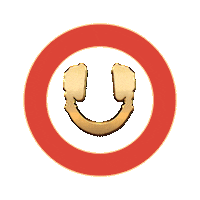 Full Sail Spinning Sticker by Nova Sound