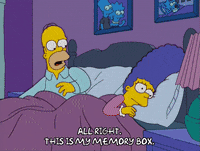 homer simpson episode 20 GIF