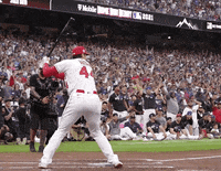 Major League Baseball Sport GIF by MLB
